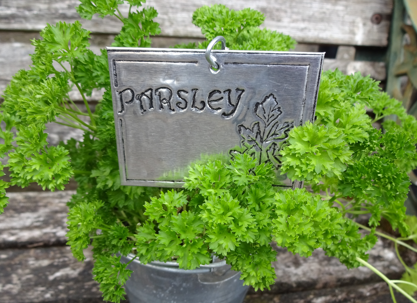 Embossed Metal Plant Label Kit Pewter Concepts